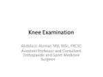 Knee Examination - slide 1