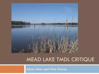 Mead Lake TMDL Critique