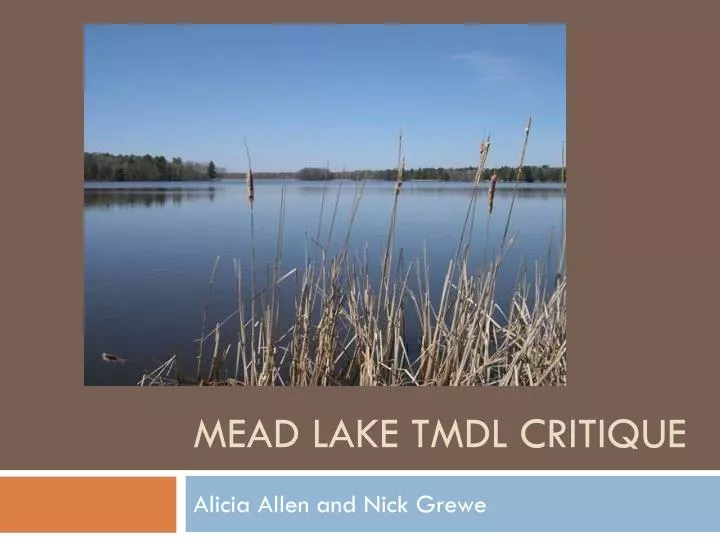 mead lake tmdl critique