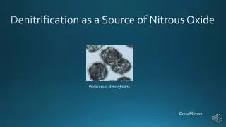 Denitrification as a Source of Nitrous Oxide