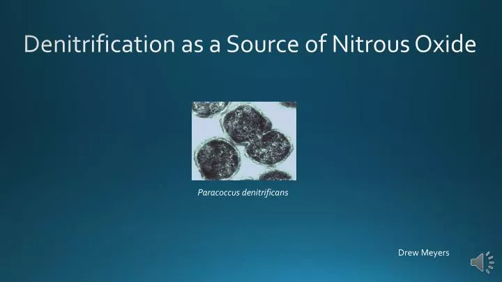 denitrification as a source of nitrous oxide