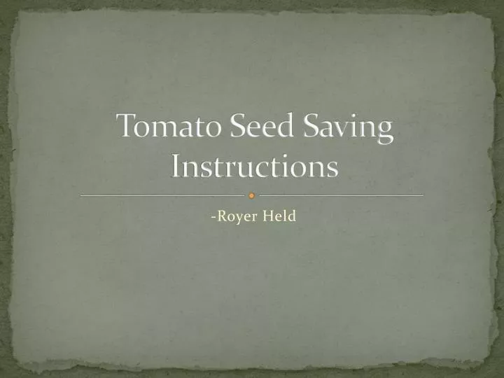 tomato seed saving instructions