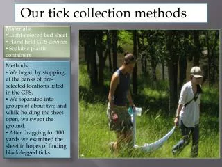 Our tick collection methods