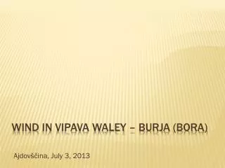Wind in vipava waley – BURja (bora)