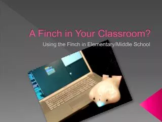 A Finch in Your Classroom?