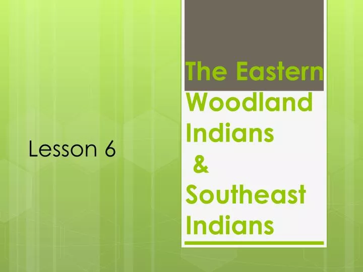 the eastern woodland indians southeast indians