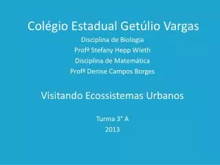 col gio estadual get lio vargas