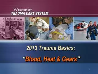 2013 Trauma Basics: