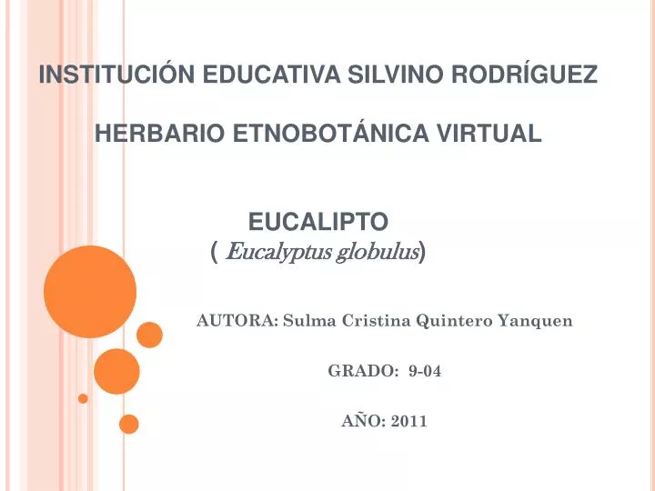 instituci n educativa silvino rodr guez herbario etnobot nica virtual eucalipto eucalyptus globulus