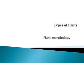Types of fruits