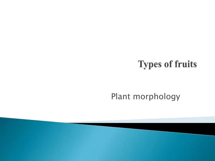 types of fruits