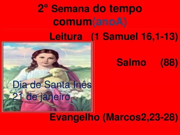 2 semana do tempo comum anoa