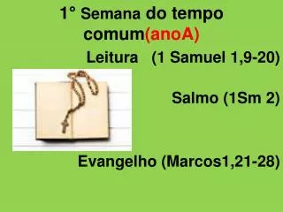 1 semana do tempo comum anoa