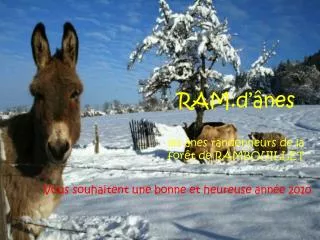 ram d nes les nes randonneurs de la for t de rambouillet