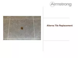 Alterna Tile Replacement