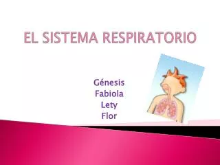 el sistema respiratorio