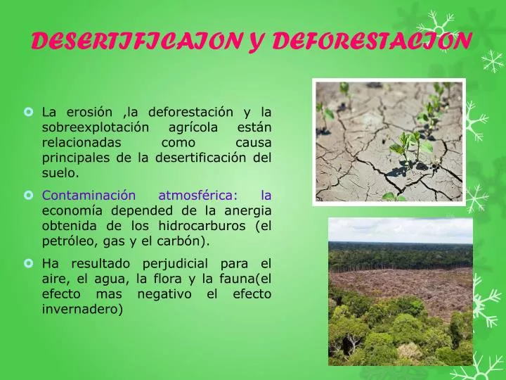 desertificaion y deforestacion