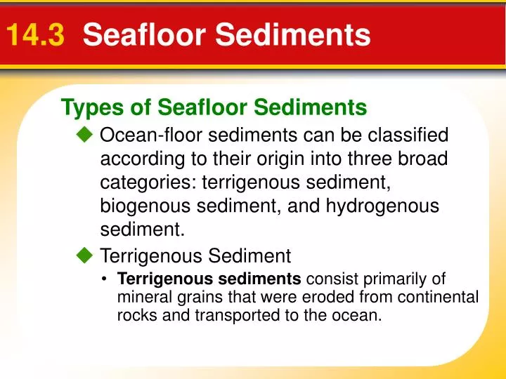 terrigenous sediment