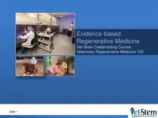 Evidence-based Regenerative Medicine Vet-Stem Credentialing Course