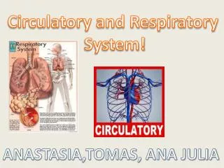 Circulatory and Respiratory System!