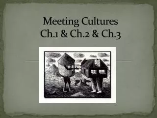 Meeting Cultures Ch.1 &amp; Ch.2 &amp; Ch.3