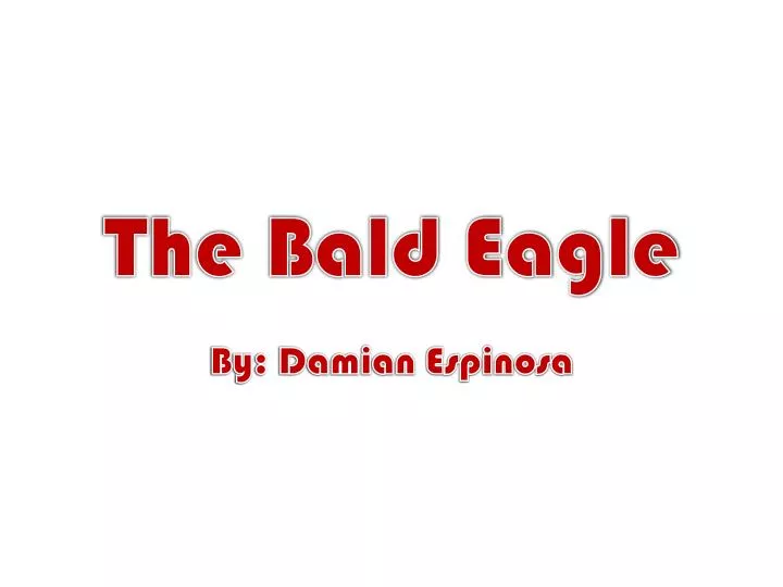 the bald eagle