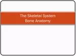 The Skeletal System Bone Anatomy - slide 1