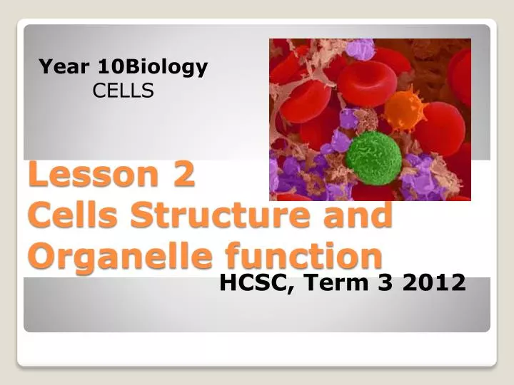 lesson 2 cells structure and organelle function