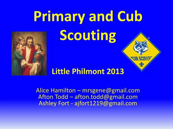 primary and cub scouting