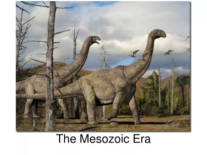 the mesozoic era