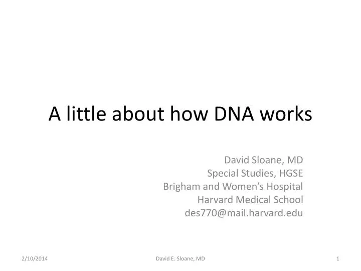 a little about how dna works
