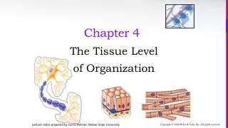 chapter 4