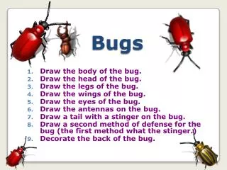 Bugs