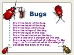 Bugs - slide 1