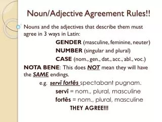 Noun/Adjective Agreement Rules!!