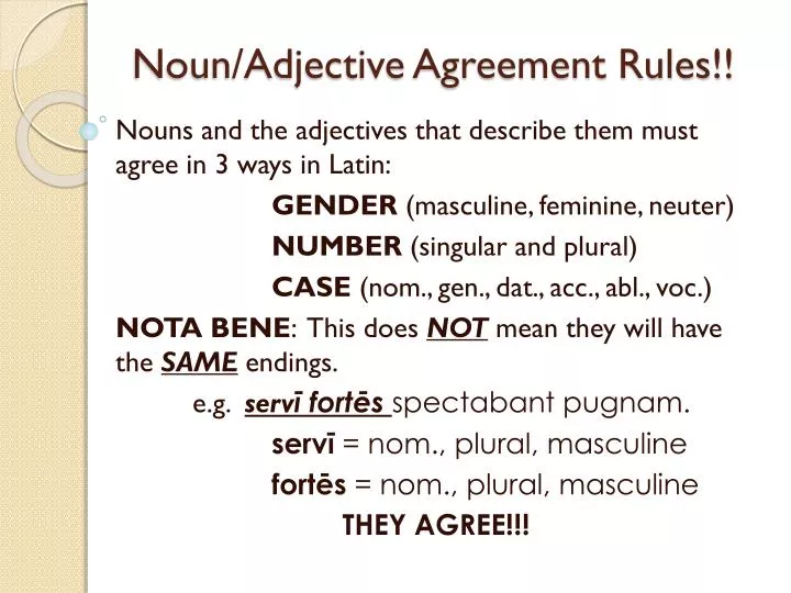 noun adjective agreement rules