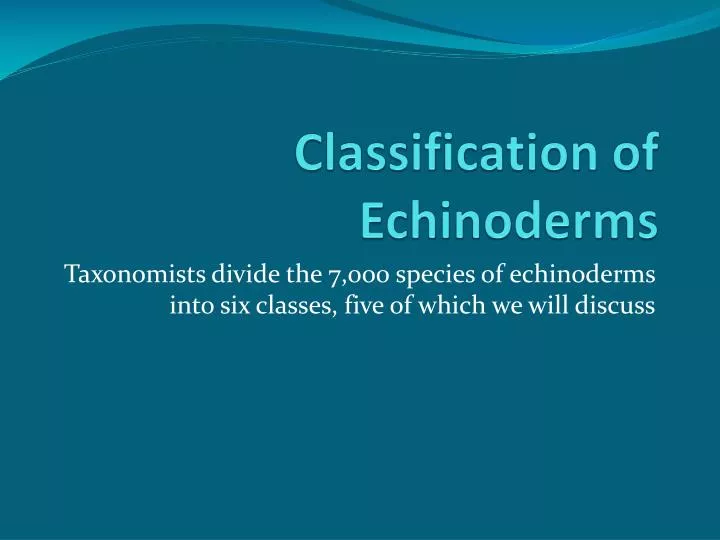 classification of echinoderms