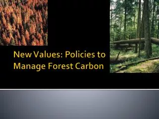 New Values: Policies to Manage Forest Carbon