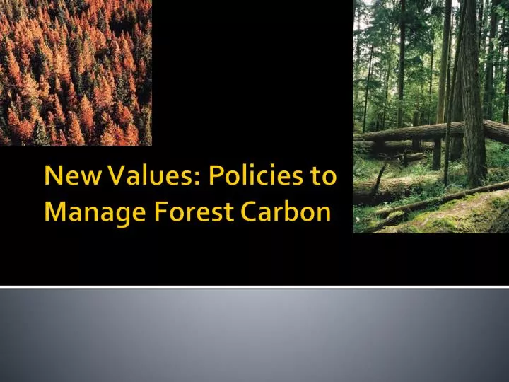 new values policies to manage forest carbon