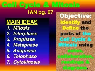 Cell Cycle &amp; Mitosis IAN pg. 87