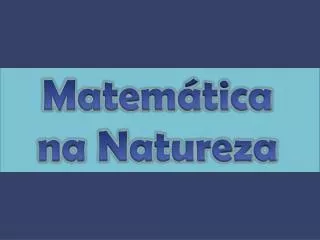matem tica na natureza