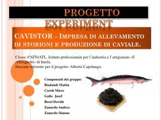 cavistor impresa di allevamento di storioni e produzione di caviale
