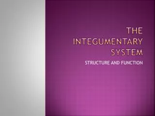 the integumentary system