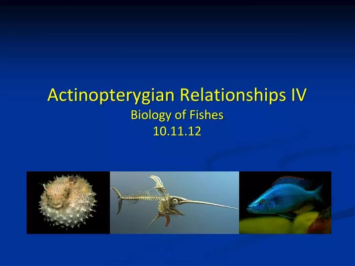 actinopterygian relationships iv biology of fishes 10 11 12