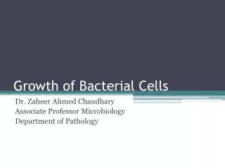 Growth of Bacterial Cells