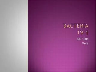 Bacteria 19-1