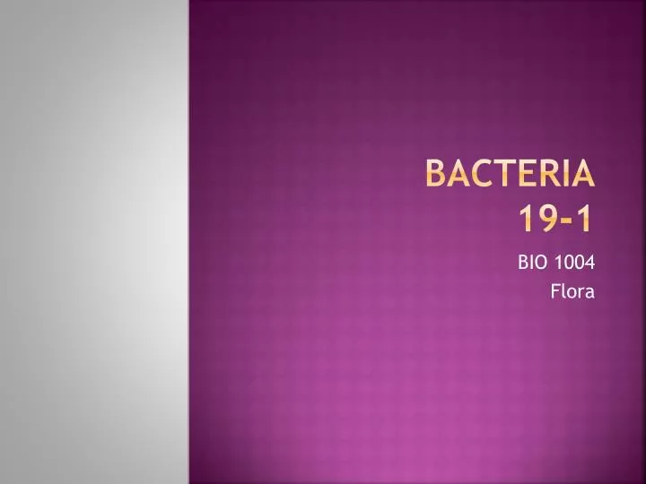 bacteria 19 1