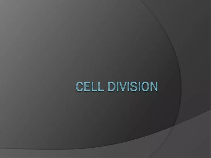 cell division