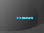 Cell Division - slide 1