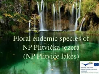 Floral endemic species of NP Plitvi?ka jezera (NP Plitvice lakes)